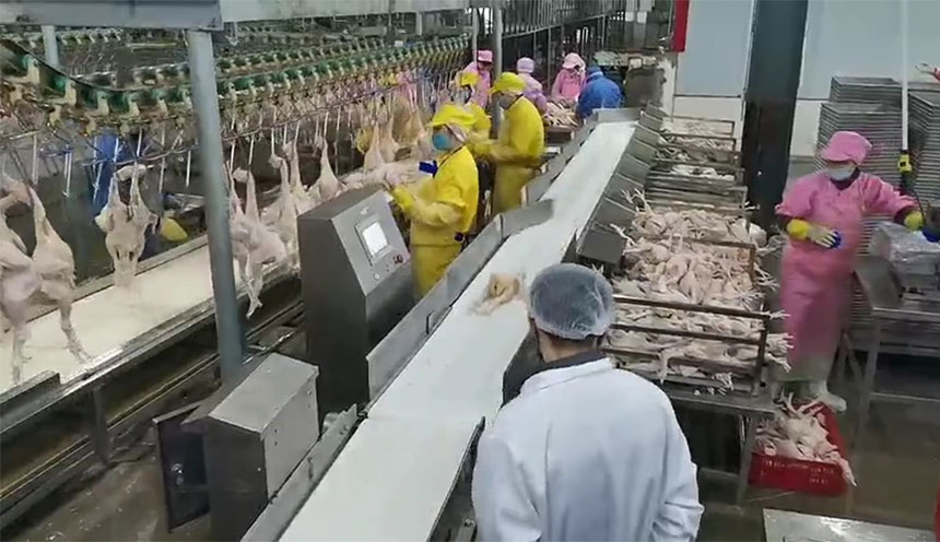 在线自动称重机在食品厂生产线上的应用案例