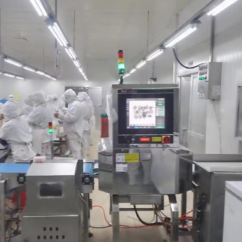 食品高精度X光异物检测机应用案例图